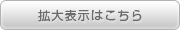 傘デザイン拡大表示